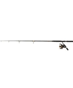 Daiwa Combo BG INSHORE Spinning 701H 2,13m 25-140g Spinrute + BG 5000 Rolle Set