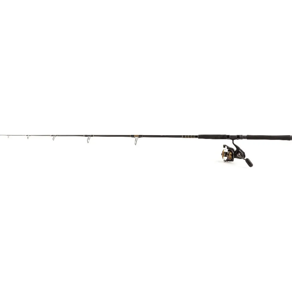 Daiwa Combo BG INSHORE Spinning 701H 2,13m 25-140g Spinrute + BG 5000 Rolle Set