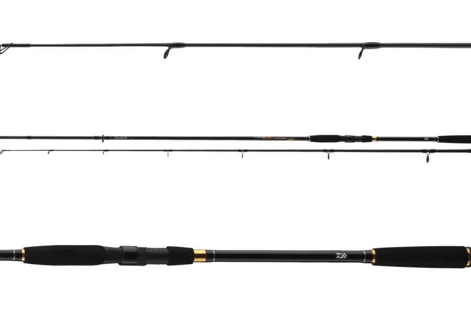 Daiwa Crossfire Seatrout Spin 3,00m 10-30g Meerforellen-Spinnrute