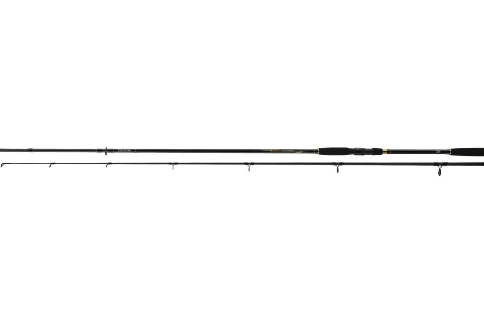 Daiwa Crossfire Spin 3,00m 40-100g Spinnrute 2-teilig Spin Rute