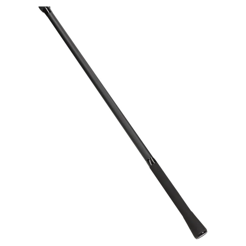 Daiwa D-Carp 12ft 3,00lbs Karpfenrute Boilierute zum Karpfenfischen