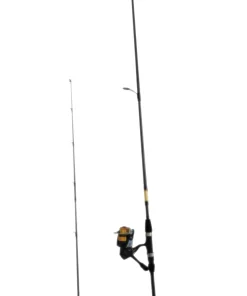 Daiwa D-Wave Combo 2,40m / 21-112g Angelset Allroundcombo Heavy Spinncombo