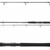 Daiwa Exceler Catfish Spin Welsrute Spinnrute Wallerspinnrute Wallerfischen
