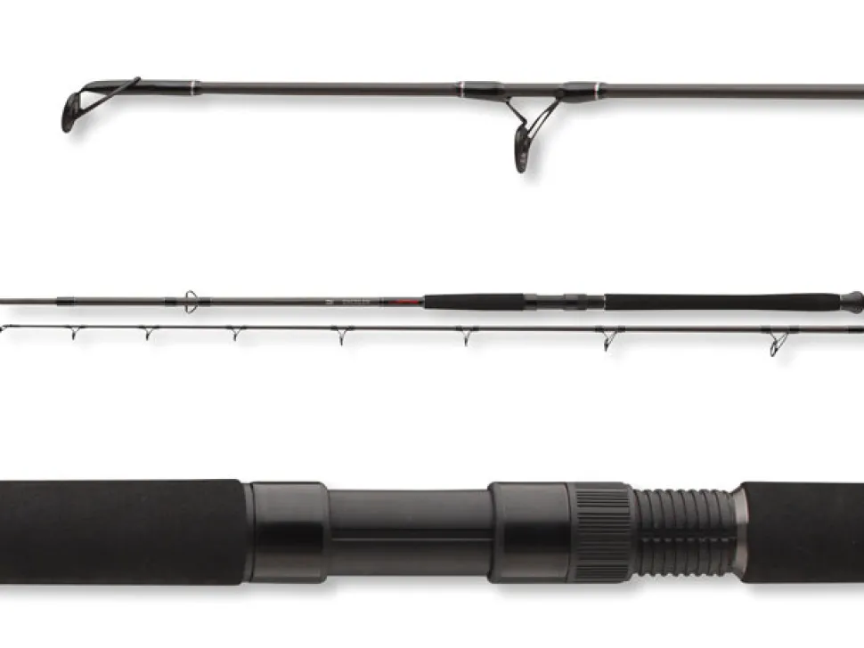 Daiwa Exceler CF Catfish Boje 200-600g Welsrute Wallerrute versch. Länge