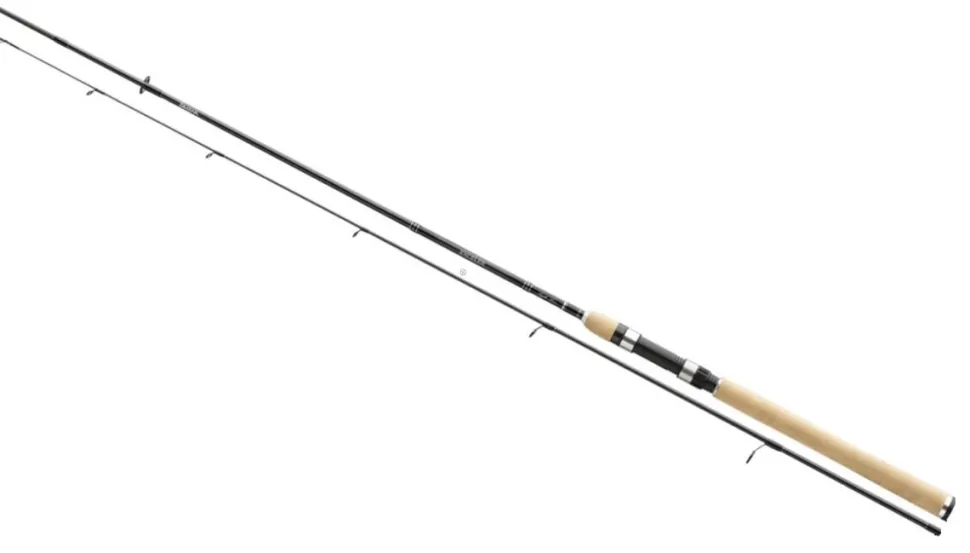 Daiwa Exceler Spin 2,40m 2-10g