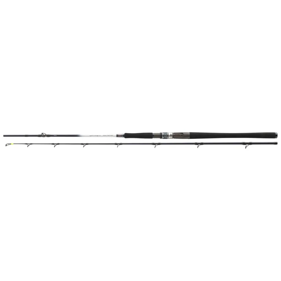 Daiwa Grandwave Baitcast 2,25m 30-40lbs Bootsrute Heilbutt-Meeresrute