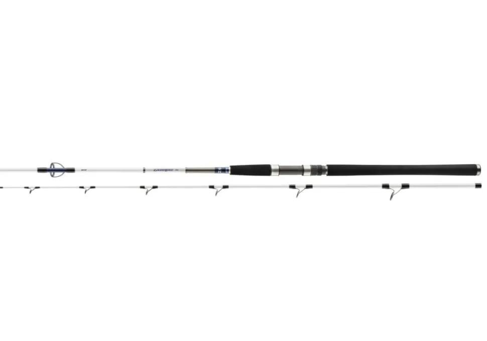 Daiwa Grandwave Pilk 2.70m 100-200g