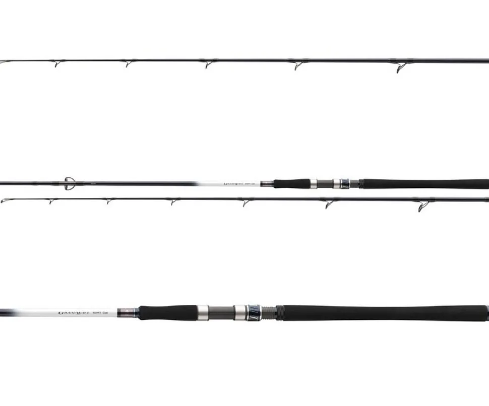Daiwa Grandwave Pollock 2,40m 40-100g Pilkrute Meeresrute