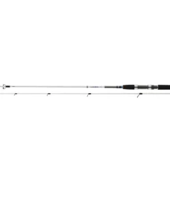 Daiwa Grandwave Seatrout 3,00m 10-40g Spinnrute für Meerforelle