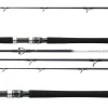 Daiwa Grandwave Travel 2,25m 150-300g 4-teilig Reiserute Meeresrute Pilkrute