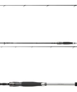 Daiwa Morethan AGS 3,10m / 5-25g Seatrout Meerforellenrute