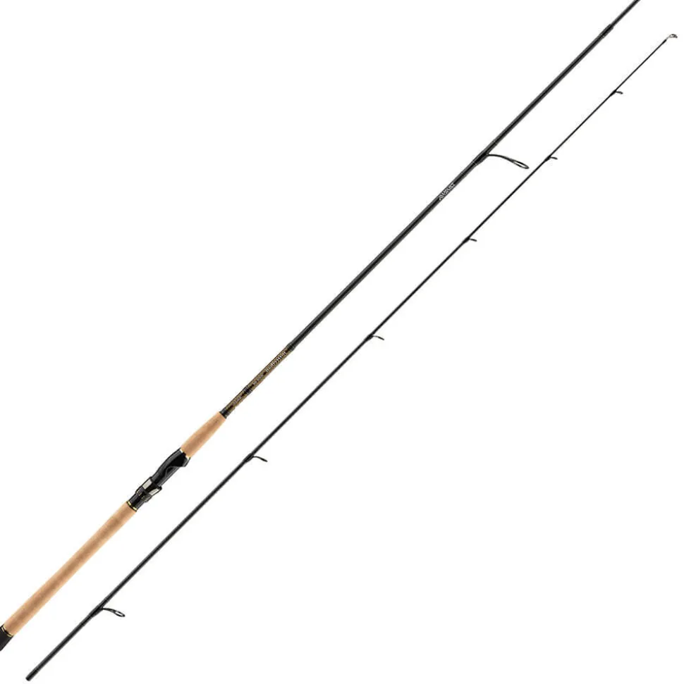 Daiwa Morethan Branzino AGS 902MH 2,70m 20-60g