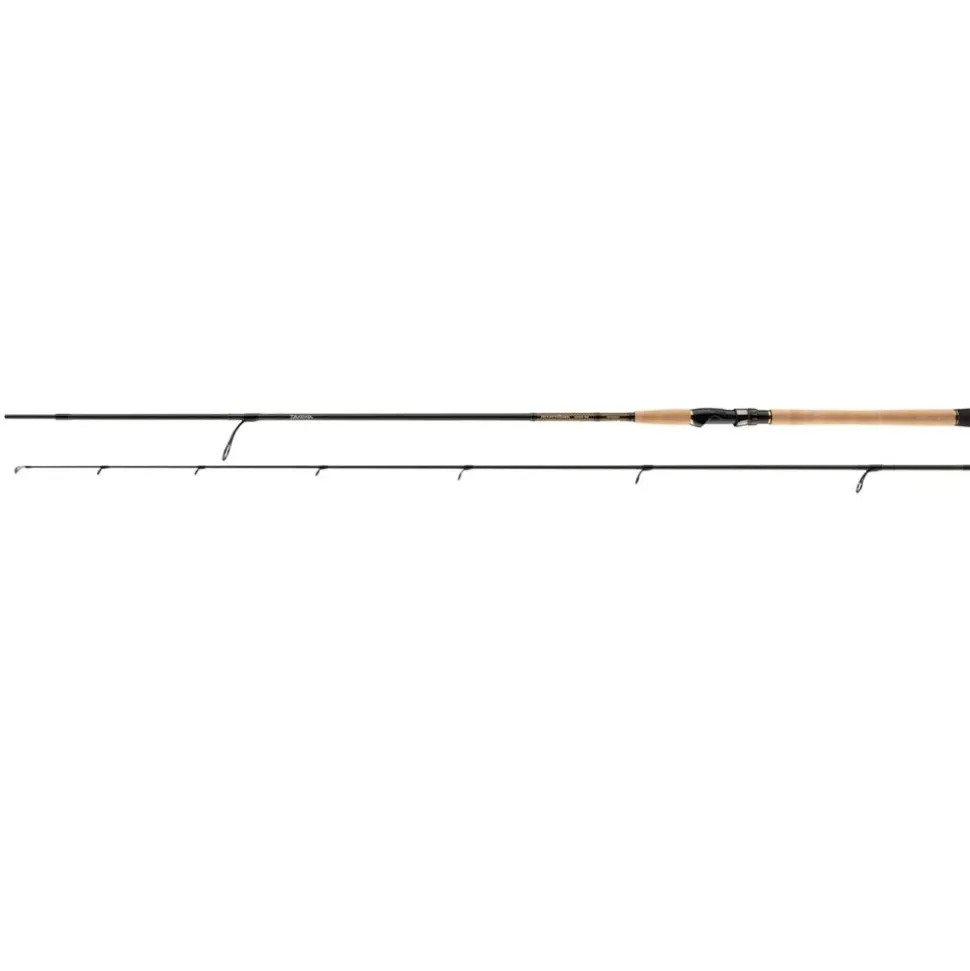 Daiwa Morethan Branzino AGS 902MH 2,70m 20-60g