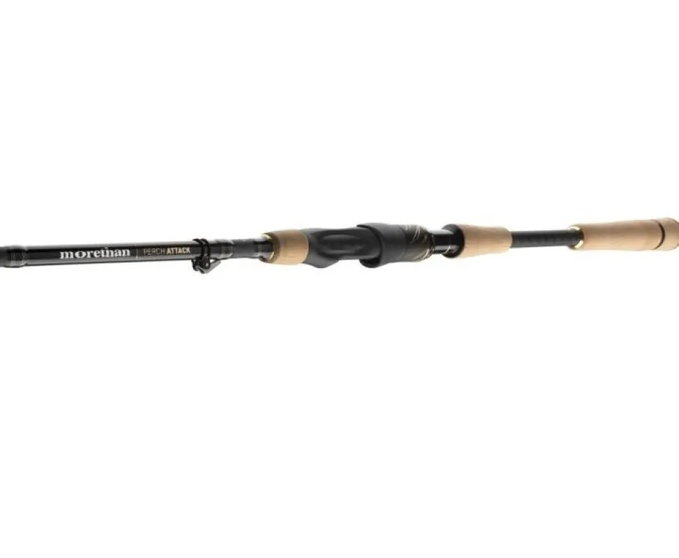 Daiwa Morethan Shad Attack 2,40m 14-56g Gummifischrute Spinnrute Premium
