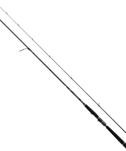 Daiwa Morethan Wisemen AGS 90L 2,74m 5-24g