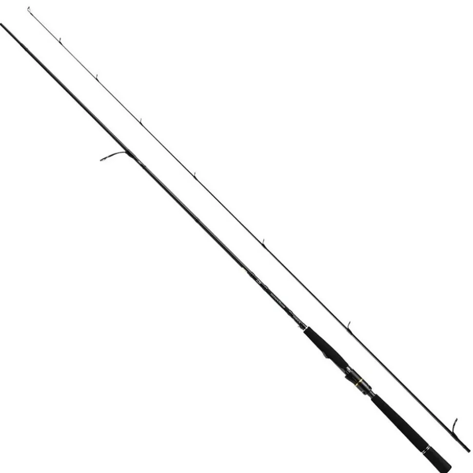 Daiwa Morethan Wisemen AGS 90L 2,74m 5-24g