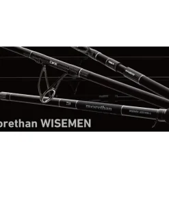 Daiwa Morethan Wisemen AGS 90L 2,74m 5-24g