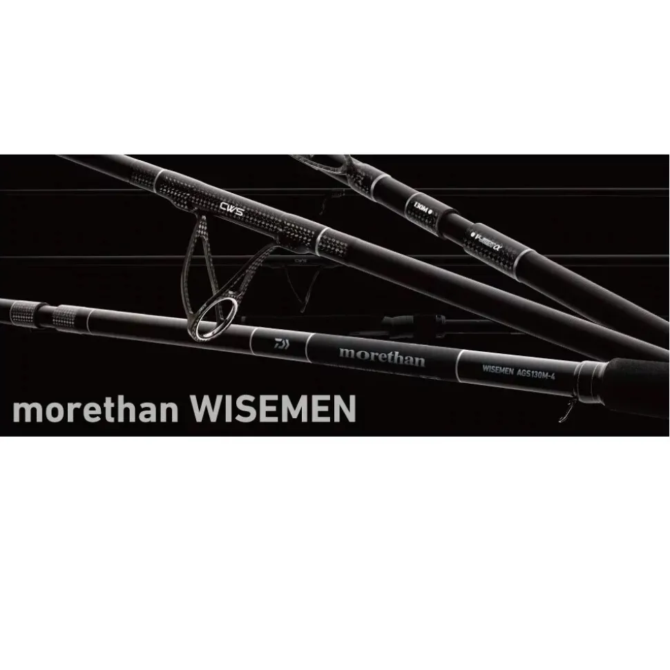 Daiwa Morethan Wisemen AGS 90L 2,74m 5-24g