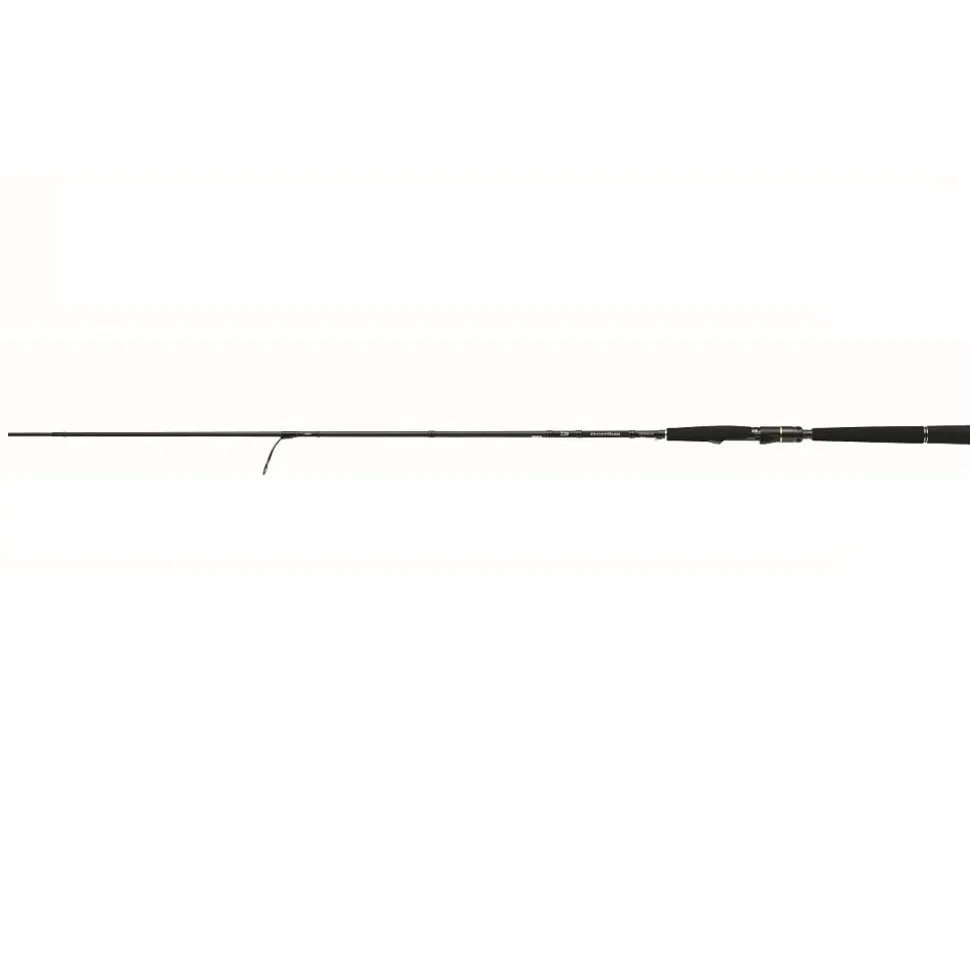 Daiwa Morethan Wisemen AGS 90L 2,74m 5-24g