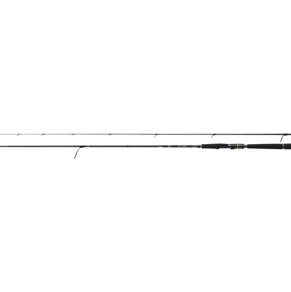 Daiwa Morethan Wisemen AGS 90L 2,74m 5-24g