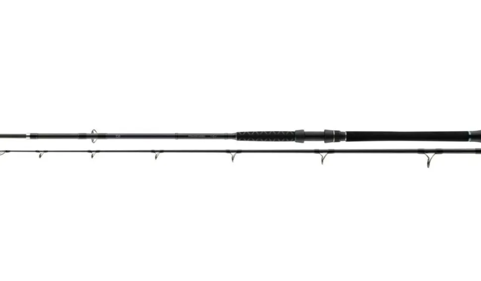 Daiwa Powermesh Catfish 3.00m 500g