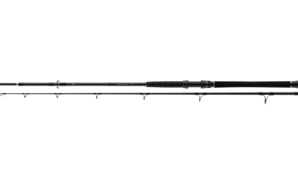 Daiwa Powermesh Catfish 2.45m 190g