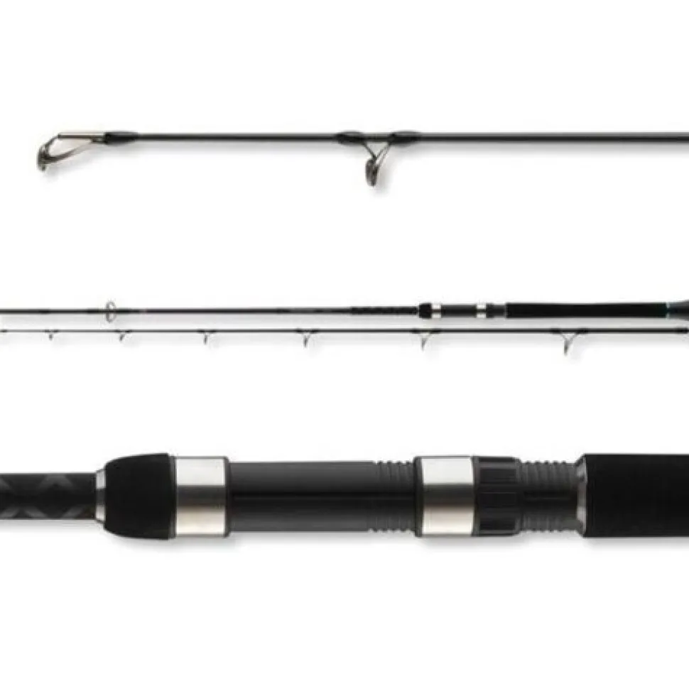 Daiwa Powermesh Catfish 2.45m 190g