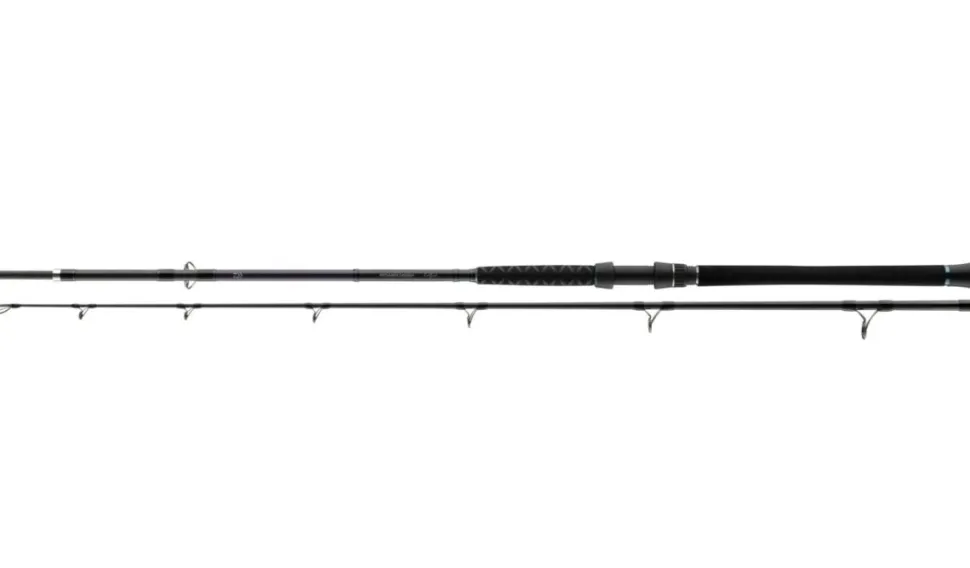 Daiwa Powermesh Catfish 2.55m 400g
