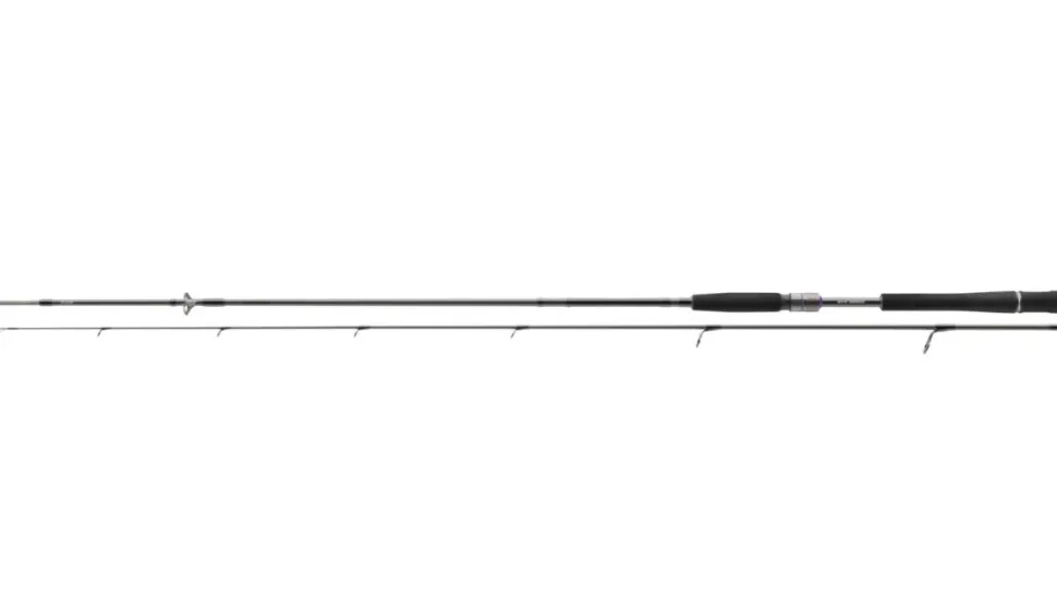 Daiwa Prorex AGS Spin 2,40m 30-70g Spinnrute