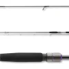 Daiwa Prorex AGS Spin 2,40m 14-42g Spinnrute