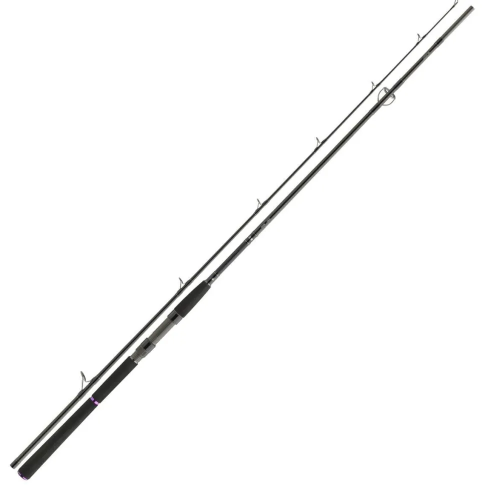 Daiwa Prorex X Big Bait 2.40m -165g Großfisch Spinnrute