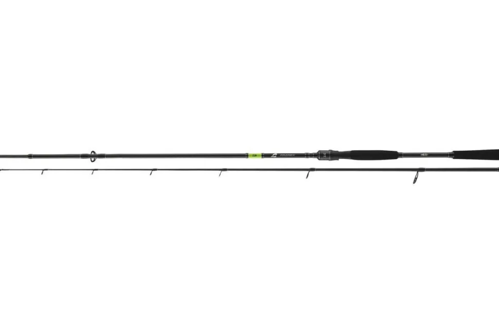 Daiwa Prorex X Extra Fast Spin 2,25m 20-60g Spinnrute 2-teilig Spin Rute