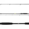 Daiwa Prorex X Extra Fast Spin 2,05m 30-90g Spinnrute 2-teilig Spin Rute