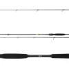 Daiwa Prorex X Spin 2,40m 30-70g Spinnrute Spin Rute 2-teilig