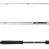 Daiwa Prorex XR Spin 2,40m 10-30g