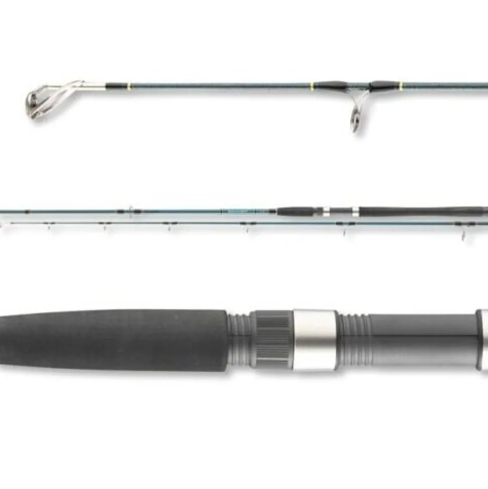Daiwa Saltist Sea 40-110g Spinnrute Pilkrute Meeresrute