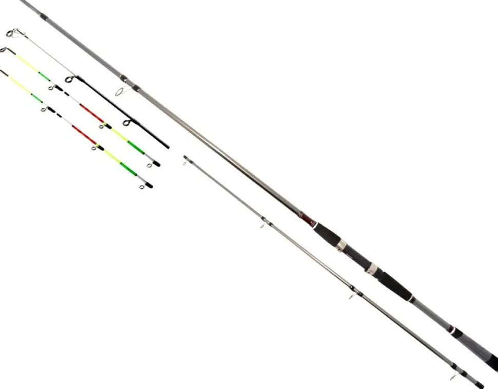 Daiwa Seahunter X Variotip 2,70m 30-110g Aalrute Grundrute