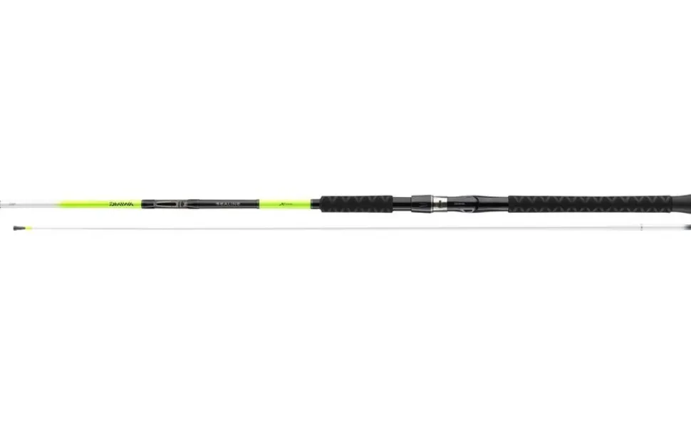 Daiwa Sealine X´treme Interline 2,25m 100-250g Light Pilkrute Meeresrute