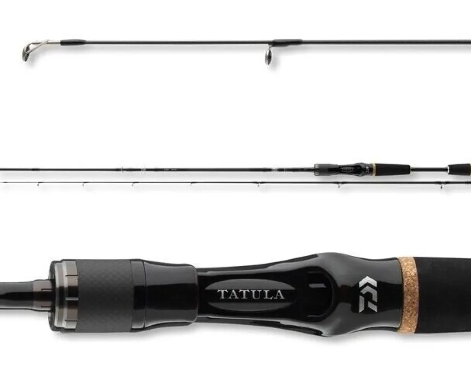 Daiwa Tatula Baitcast Baitcastrute 2-teilig Neuheit Casting Rute 1,80m - 2,15m