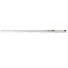 Daiwa Team Daiwa Trout Spinnrute 1.95m 5-18g