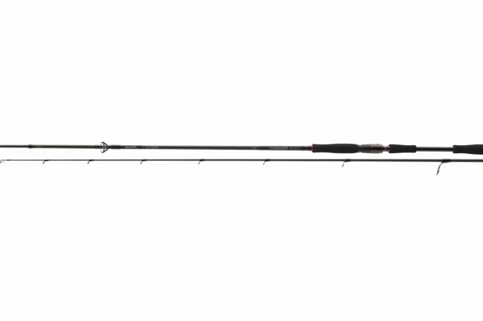 Daiwa Tournament AGS Spin Spinnrute High End