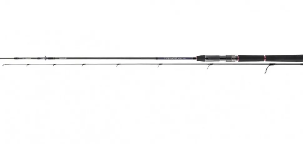 Daiwa Tournament SW AGS Jigger 2,20m 3,5-14g