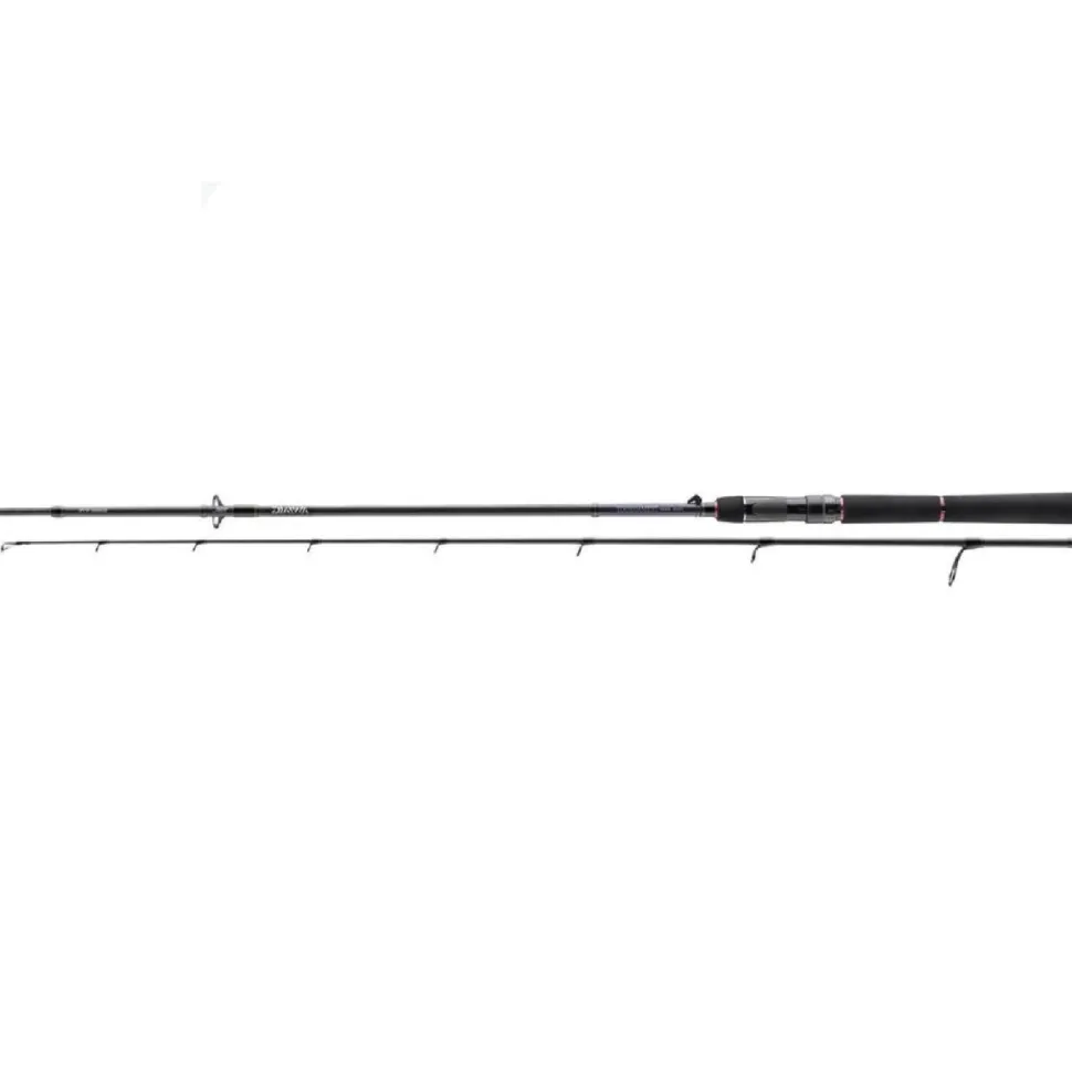 Daiwa Tournament SW AGS 2.70m 28-84g
