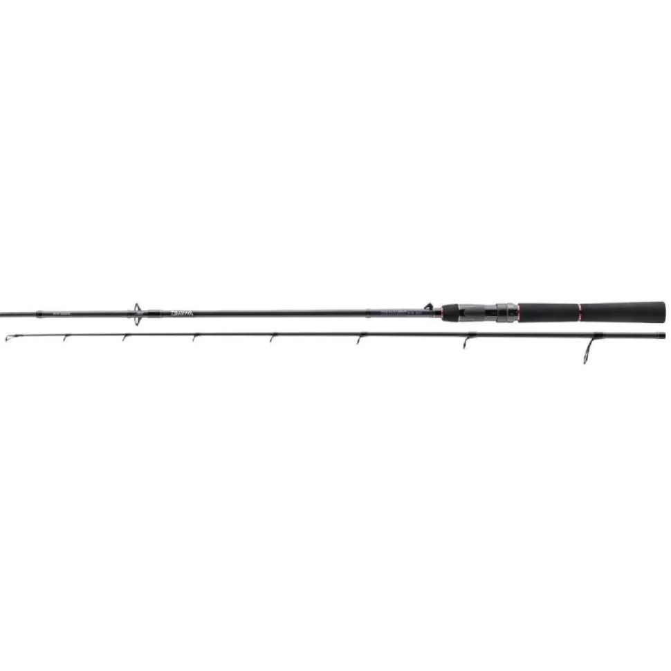 Daiwa Tournament SW AGS 2.70m 14-42g