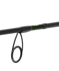 Daiwa Wilderness Hucho 2,70m 40-110g Huchenrute Spinnrute