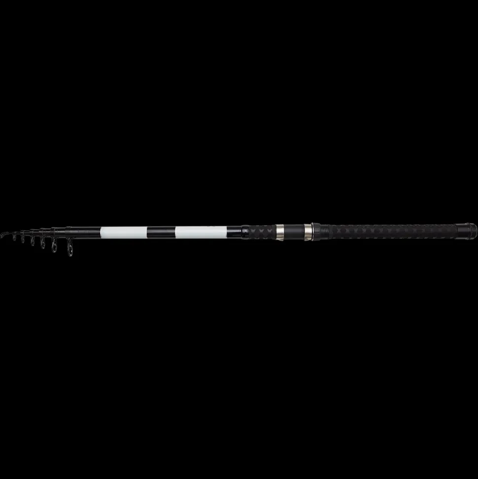 DAM Base-X Tele Stellfisch 19'8'' / 6,00m 50-100g Stellfischrute Köderfischrute