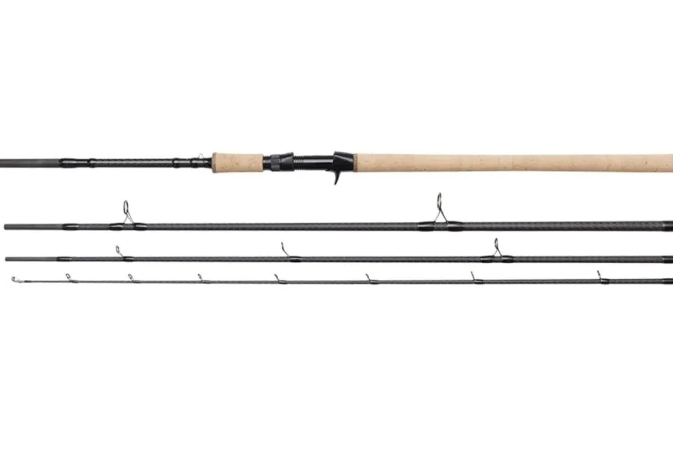 DAM Nanoflex Pro+ Salmon Stick BC 13' / 3,90m MF 40-120g Baitcastrute