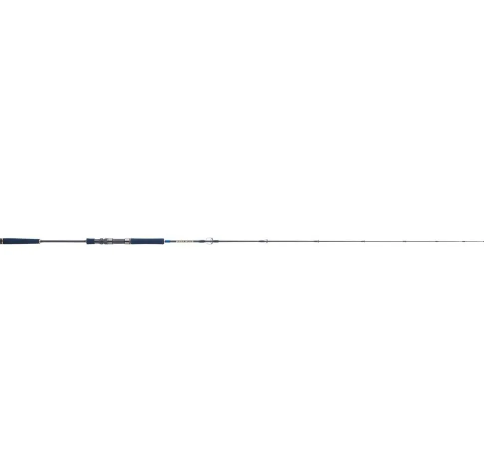 HEARTY RISE CANNE DEEPBLUE S 1,92M 12-40g Spinnrute Vertical