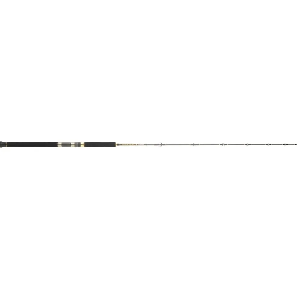 HEARTY RISE Cat Fish vertical extreme 180H2 1,80m 100-250g Wels Waller Bootsrute