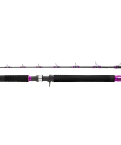 HEARTY RISE Monster B 1,63M 320g Salzwasser Jigging Meeresrute